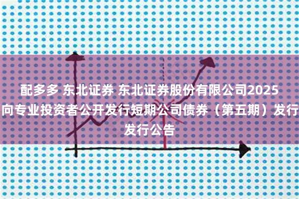 配多多 东北证券 东北证券股份有限公司2025年面向专业投资者公开发行短期公司债券（第五期）发行公告